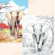 Colouring Activity - Stress Free