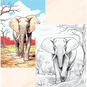 Elephant Mandala