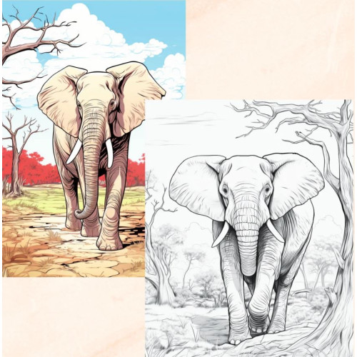 Elephant Mandala